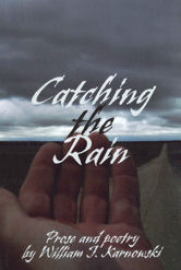 Catching the Rain, Book Cover